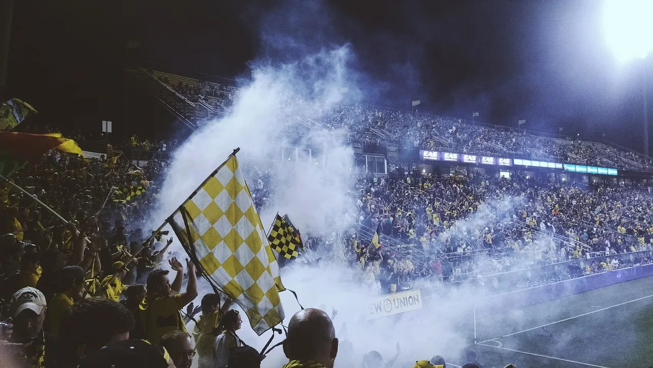 Fans in a stadium